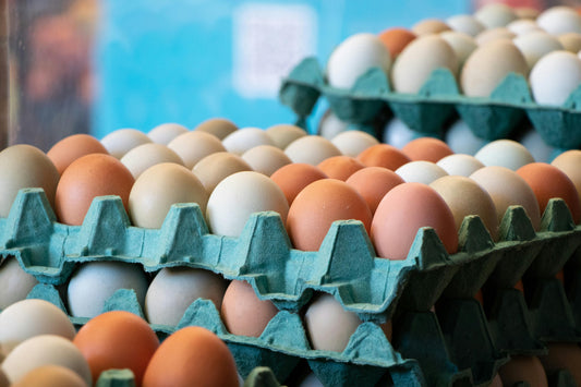 Fresh Farm Eggs